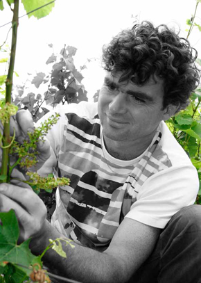 Nicolas Chauvet, The man of the vines